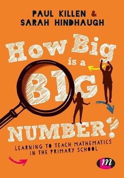 portada How big is a big Number? Learning to Teach Mathematics in the Primary School (en Inglés)