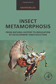 portada Insect Metamorphosis: From Natural History to Regulation of Development and Evolution