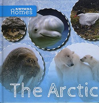 portada The Arctic (Animal Homes)