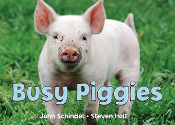portada Busy Piggies (en Inglés)
