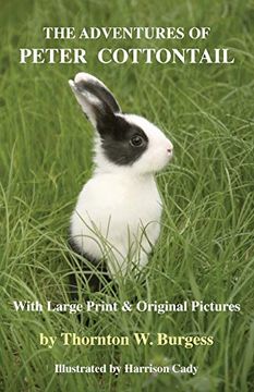 portada The Adventures of Peter Cottontail: With Large Print and Original Pictures (in English)
