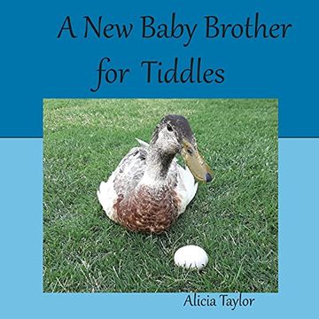 portada A new Baby Brother for Tiddles (en Inglés)