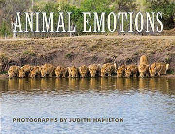 portada Animal Emotions (en Inglés)