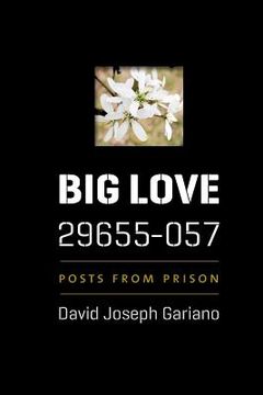portada Big Love, 29655-057: Posts from Prison (in English)