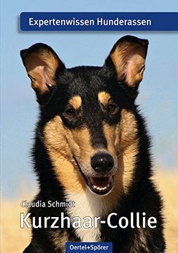 portada Kurzhaar-Collie: Expertenwissen Hunderassen (en Alemán)