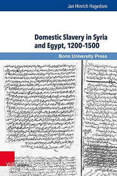 portada Domestic Slavery in Syria and Egypt, 12001500 (Mamluk Studies) (in English)