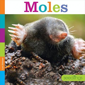portada Moles (Seedlings: Backyard Animals) (in English)