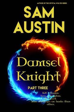 portada Damsel Knight: Part Three (en Inglés)