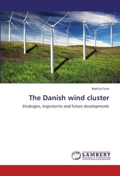 portada the danish wind cluster (en Inglés)