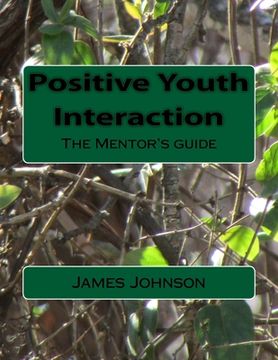 portada Positive Youth Interaction: The Mentor's guide (in English)