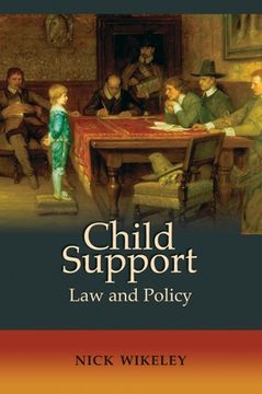 portada child support: law and policy (en Inglés)