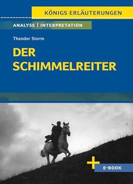 portada Der Schimmelreiter von Theodor Storm.