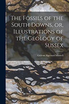 portada The Fossils of the South Downs, or, Illustrations of the Geology of Sussex (en Inglés)
