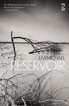 portada Reservoir (Salt Modern Fiction) (in English)