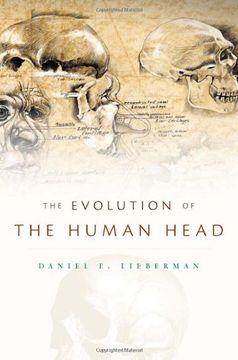 portada The Evolution of the Human Head (en Inglés)