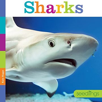 portada Sharks (Seedlings) (en Inglés)
