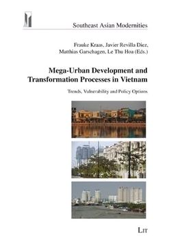 portada Mega-Urban Development and Transformation Processes in Vietnam (en Inglés)