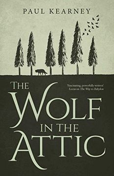 portada The Wolf in the Attic