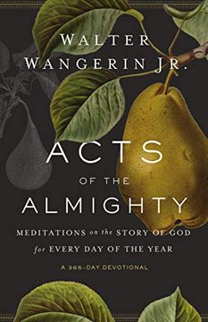 portada Acts of the Almighty: Meditations on the Story of god for Every day of the Year (en Inglés)
