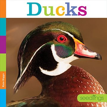 portada Ducks (Seedlings: Backyard Animals) (in English)