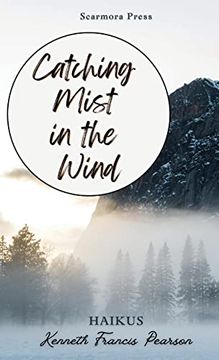 portada Catching Mist in the Wind (en Inglés)