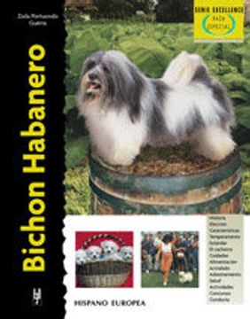 portada bichon habanero / bichon havanese