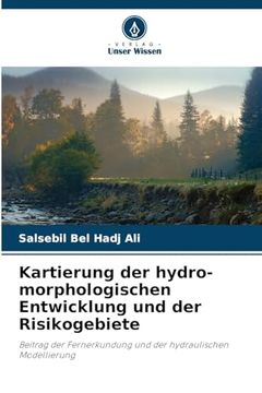 portada Kartierung der hydro-morphologischen Entwicklung und der Risikogebiete (en Alemán)