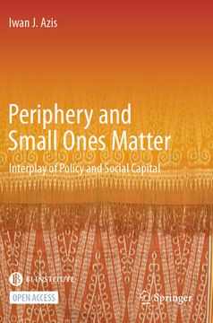 portada Periphery and Small Ones Matter: Interplay of Policy and Social Capital (en Inglés)
