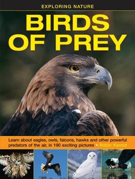 portada Exploring Nature: Birds of Prey