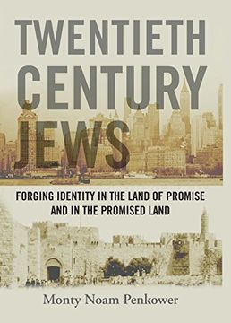 portada Twentieth Century Jews: Forging Identity in the Land of Promise and in the Promised Land (Judaism and Jewish Life) (en Inglés)
