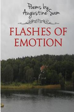 portada Flashes of Emotion (en Inglés)