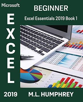 portada Excel 2019 Beginner (Excel Essentials 2019) (en Inglés)