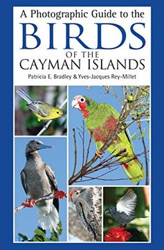 portada A Photographic Guide to the Birds of the Cayman Islands (en Inglés)