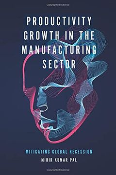 portada Productivity Growth in the Manufacturing Sector: Mitigating Global Recession (en Inglés)