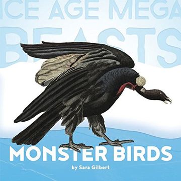 Monster Birds: Teratorns (Ice Age Mega Beasts)