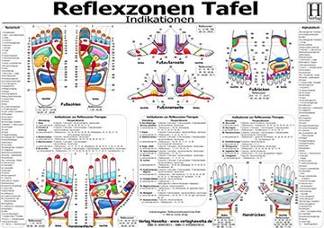 portada Reflexzonen Tafel - Indikationen - a3 (Laminiert) (en Alemán)