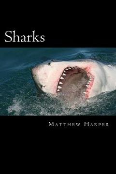 portada Sharks: A Fascinating Book Containing Shark Facts, Trivia, Images & Memory Recall Quiz: Suitable for Adults & Children (en Inglés)