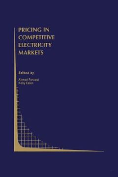 portada Pricing in Competitive Electricity Markets (en Inglés)
