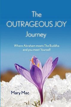 portada the outrageous joy journey: where abraham meets the buddha and you meet yourself (en Inglés)