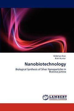 portada nanobiotechnology (en Inglés)