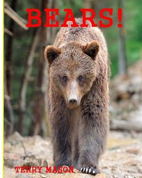 portada Bears: Childrens Book About Bears -Learn about Bears Behaviour and enjoy Many Great Pictures (en Inglés)