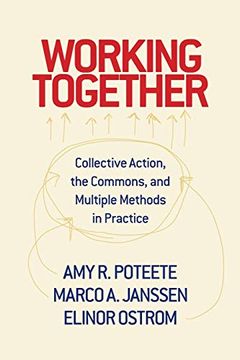 portada Working Together: Collective Action, the Commons, and Multiple Methods in Practice (in English)