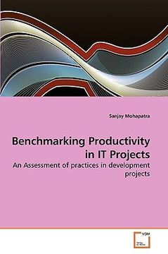 portada benchmarking productivity in it projects (en Inglés)