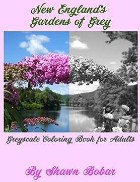 portada New England's Gardens of Grey: A Greyscale Coloring Book for Adults (en Inglés)