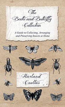 portada Beetle and Butterfly Collection - a Guide to Collecting, Arranging and Preserving Insects at Home (en Inglés)