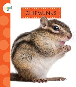 portada Chipmunks (Spot Backyard Animals) (in English)