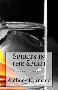 portada spirits in the spirit (in English)