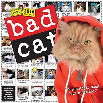 portada Bad cat Wall Calendar 