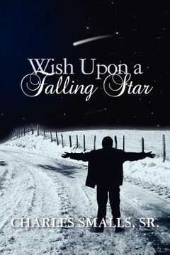 portada wish upon a falling star (en Inglés)