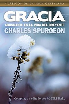 portada Spanish - Grace Abounding in a Believer's Life (en Inglés)